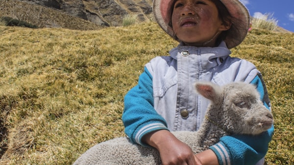 篮球比赛精彩扣篮集锦封面 - 球员隔人暴扣瞬间